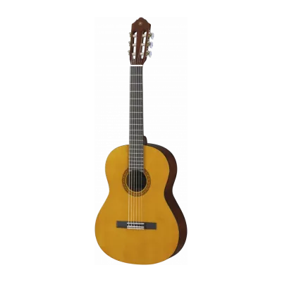 Guitars