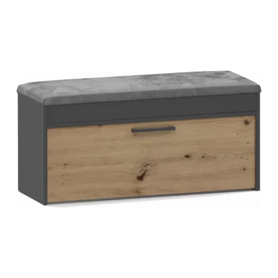 Shoe Cabinets
