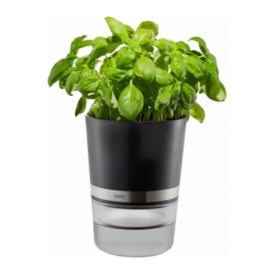 Herb Pots