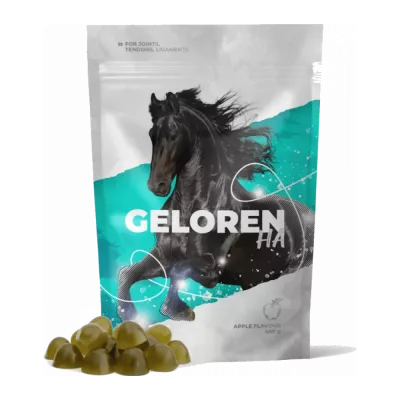 Horse Supplements