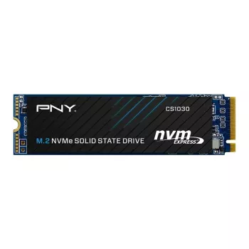 PNY CS1030 256GB M.2 2280 PCIe NVMe Gen3 x4 Internal Solid State Drive (Bulk)