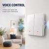 QOLTEC Smart Light Switch WiFi 2-Gang Timer Tuya White