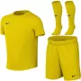 Nike Dri-FIT Park VIII Little Kids' Sports Set Yellow L
