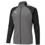 Puma teamLIGA Training Men's Quarter-Zip Training Top Puma Black-Asphalt Size L
