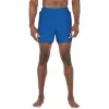 Nike Essential 5 Men's Swim Shorts Game Royal Blue XL