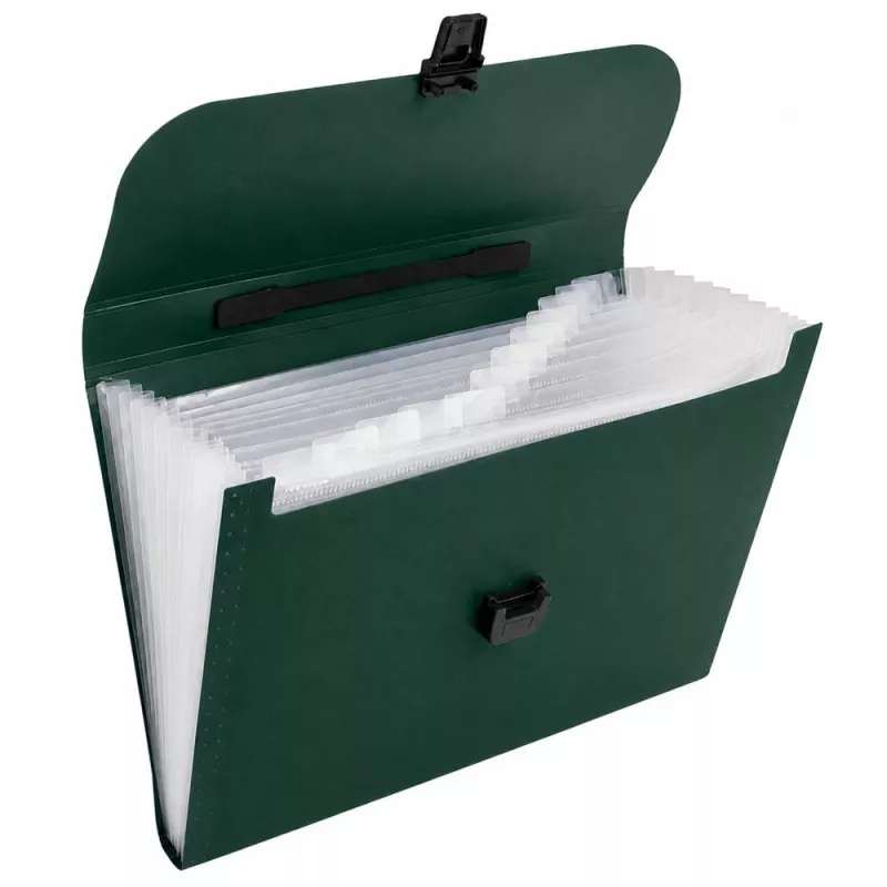 LEAN Folder Organizer for Documents, 13 Compartments, Green, A4, Holder