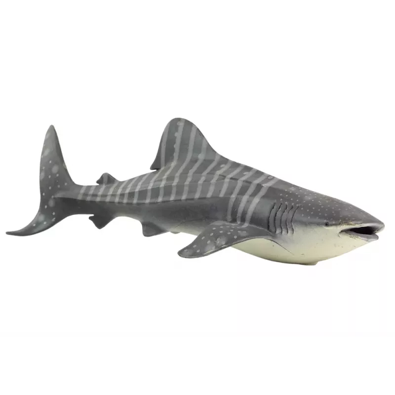 LEAN TOYS Large Whale Shark Collector's Figurine World The Sea