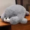 LEAN TOYS Plush Mascot Cuddly Toy Large Grey Seal 29cm