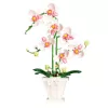 LEAN TOYS Orchid Construction Blocks Orchid in a Pot Pink and White 718 pcs