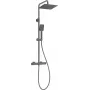 DEANTE Neo Thermostatic Shower System with 250mm Rain Head and Hand Shower, Chrome