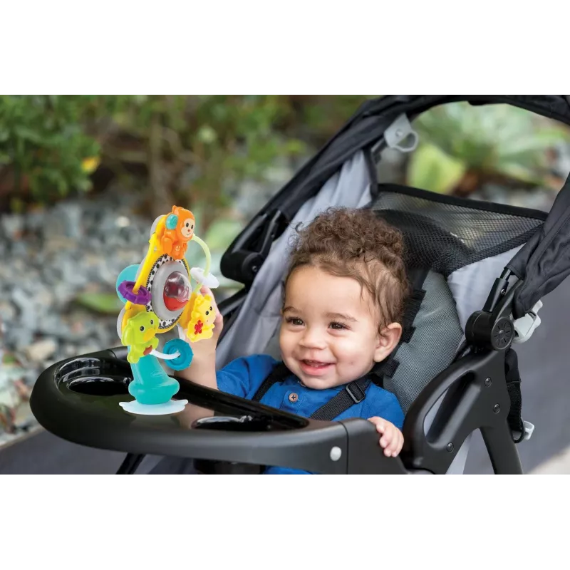 B-KIDS Ferris Wheel Suction Cup Activity Toy - Spin & Teethe, Multi-Color