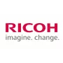 Ricoh D194-2485 (D1942485) SEAL:BLADE:APPLY