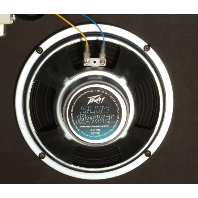Peavey Electronics Rage 158 - 15W guitar amplifier