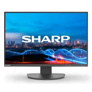 DD-EA241W BLACK 24IN IPS 1920X1200 16:10 5MS 1000:1 3