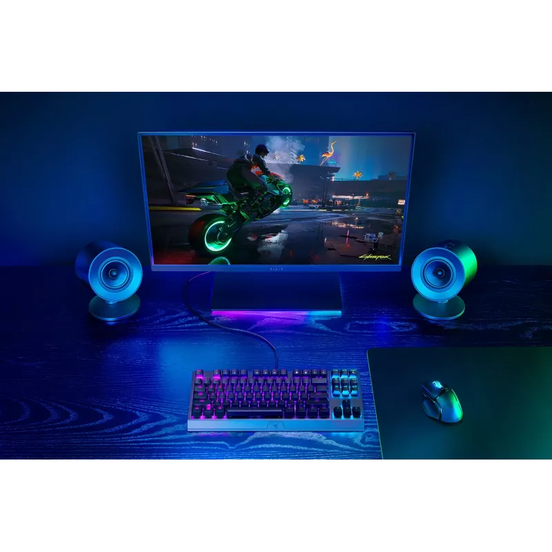 Razer Loudspeakers RZ05-04760100-R3G1 / Nommo V2 X Black