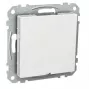 SCHNEIDER ELECTRIC EXXACT CENTER PLATE, WHITE