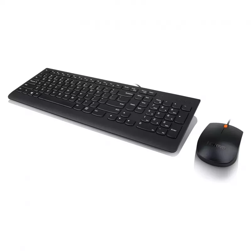 Lenovo 300 USB Keyboard - US English QWERTY - Black