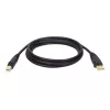Tripp Lite U022-015 USB 2.0 Hi-Speed A/B Device Cable, Shielded, Male/Male, 15 ft (4.57 m), Black