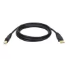 Tripp Lite U022-015 USB 2.0 Hi-Speed A/B Device Cable, Shielded, Male/Male, 15 ft (4.57 m), Black