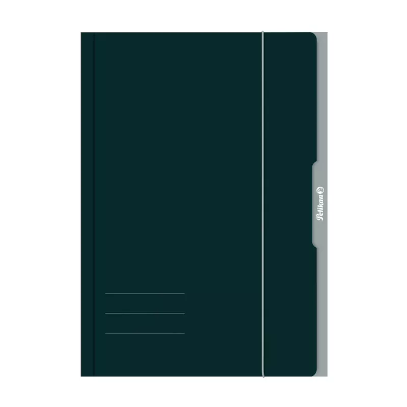 Pelikan 276856 Circulation Folder A3 Cardboard Green