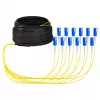 EFB Trunk Cable U-DQ(ZN)BH OS2 12E (1x12) SC-SC 40m Dca LSZH G657A1