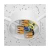 WAGO 221-412 2-Conductor Compact Splicing Connector, 0.2-4 mm², 100 Pieces