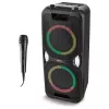 MEDION PE-1 Pure Party Speaker Black - Bluetooth 5.0, 40W RMS, 2x 6.5 inch Speakers, Karaoke, TWS, LED Lights, Power Bank
