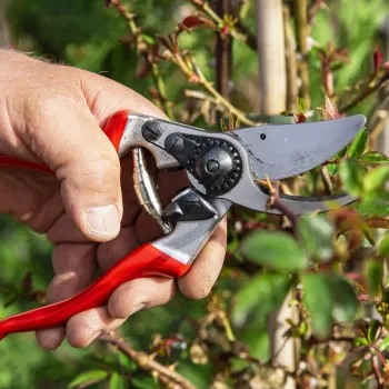 FELCO 9 Left-Handed Bypass Pruning Shears - Forged Aluminum