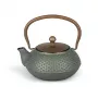 Bredemeijer Jiangxi Cast Iron Teapot 0.7 L Blue with Stainless Steel Filter