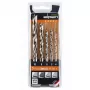 ALPEN-MAYKESTAG Alpen HSS-Cobalt PCTM 5-Piece Drill Bit Set