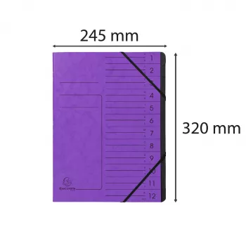 Exacompta Expanding File Folder 12 Compartments Violet Colorspan