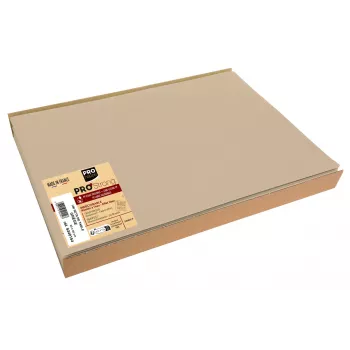 PROnappe 100 Placemats Beige 30 x 40 cm