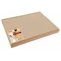 PROnappe 100 Placemats Beige 30 x 40 cm