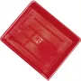 Kaiser Developing Tray 30x40 Red 4173