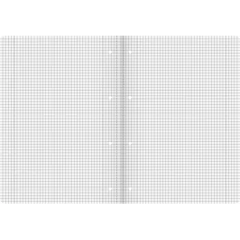 BRUNNEN Vivendi School Exercise Book A4, Lineatur 38, Squared, 32 Pages, Inner and Outer Margins