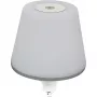 REV LED Bottle Light with Battery Lamprusco Flame Warm White