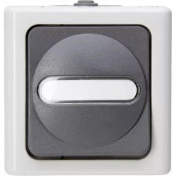 Heinrich Kopp Pushbutton Switch 1P Grey/White Thermoplastic IP44 78mm