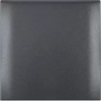 Berker 918282505 1-Gang Frame with Hinged Lid, Anthracite