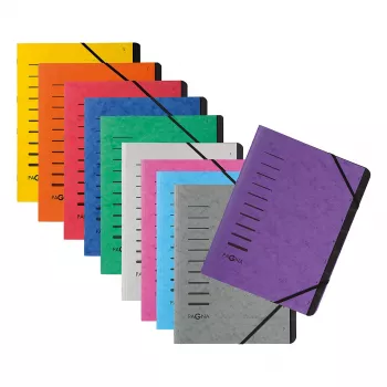 Pagna 40059-12 Ordnungsmappe 12-Compartment Organiser, A4, Orange
