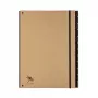 Pagna 44012-11 Document Wallet - A4 - Cardboard - Brown - 1 Piece
