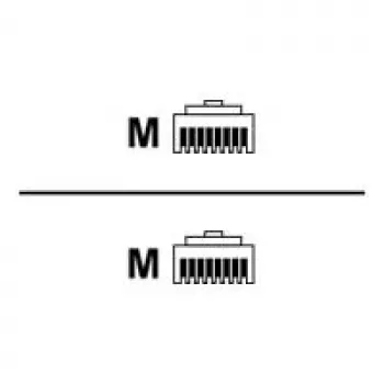 Rittal DK CMC III CAN-Bus Connection Cable - Network Cable - RJ-45 Male to RJ-45 Male - 1.5 m (7030.092)