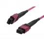 SYNERGY21 Fiber Optic Patch Cable OM4 Low Loss Elite 12 Fiber Type B Crossed MTP Female - Erika Violet - 0.5 m