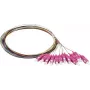 Synergy 21 S215524 Fibre Optic Pigtail SC OM4 2m 12-Pack Coloured