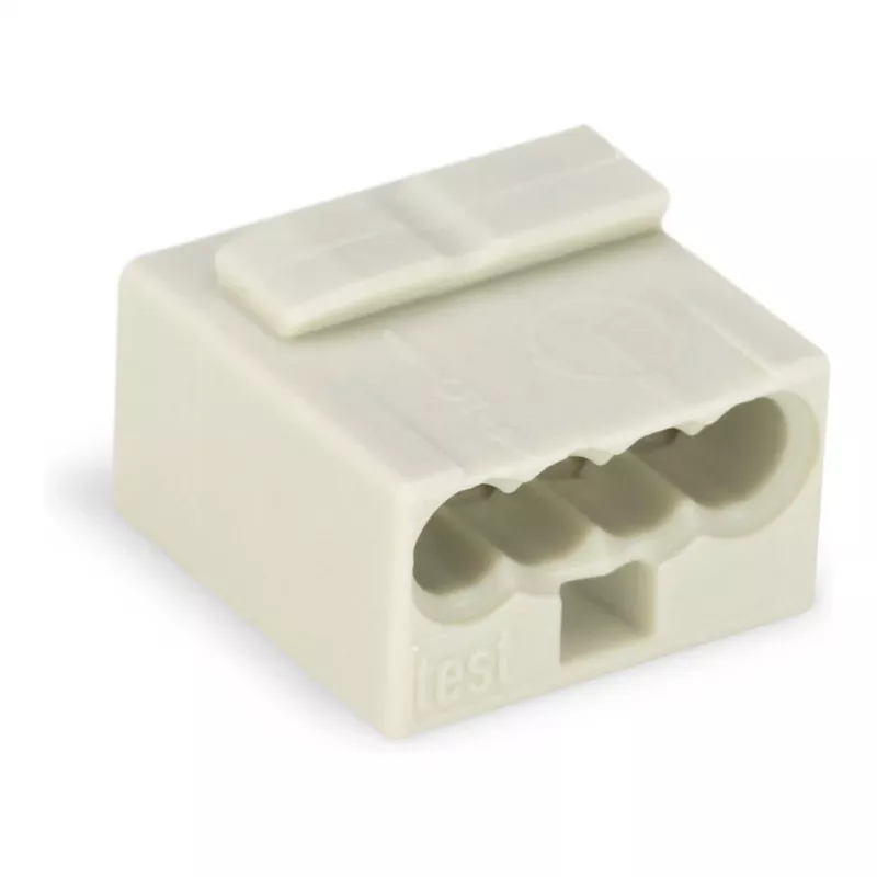 WAGO 243-304 PUSH WIRE® Connector 2-Conductor 100V 24A Transparent