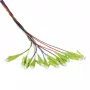 EFB Elektronik Fibre Pigtail LC 50/125 OM5 12-Colour Set 2 m