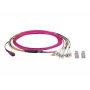 EFB-Elektronik MTP-F/LC 8-Fiber Matrix Patch Cable OM4, LSZH, Erika Violet, 10m