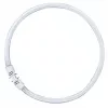 OSRAM LUMILUX T5 FC Circular Fluorescent Lamp 55W 865 Daylight 2GX13