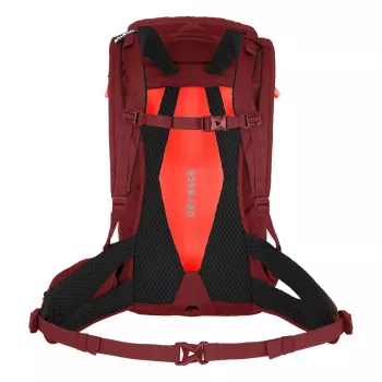 SALEWA Alp Trainer 20 Women's Backpack Syrah