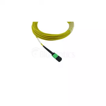 BlueOptics Cisco CB-M12-M12-SMF1M MPO-12 Female to MPO-12 Female OS2 Single-Mode Fiber Patch Cable, 1m, LSZH, Yellow