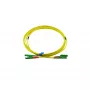 BlueOptics Duplex Fiber Optic Patch Cable, E2000-APC/E2000-APC, Singlemode OS2, 10 m, Green Connectors